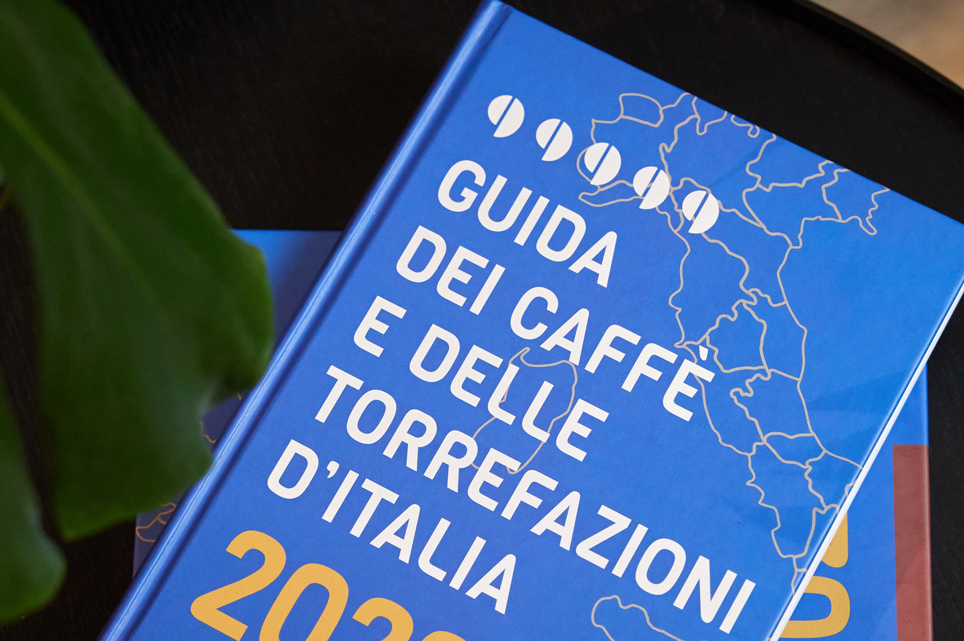 Tavola da disegno 1 copia 10